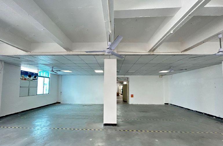 特价25西乡固戍工业区，电梯口带装修独立半层370平厂房出租