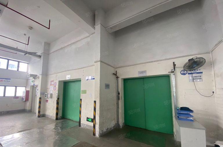 洪田共和3万平方大型工业园红本厂房低价出租 500平起租