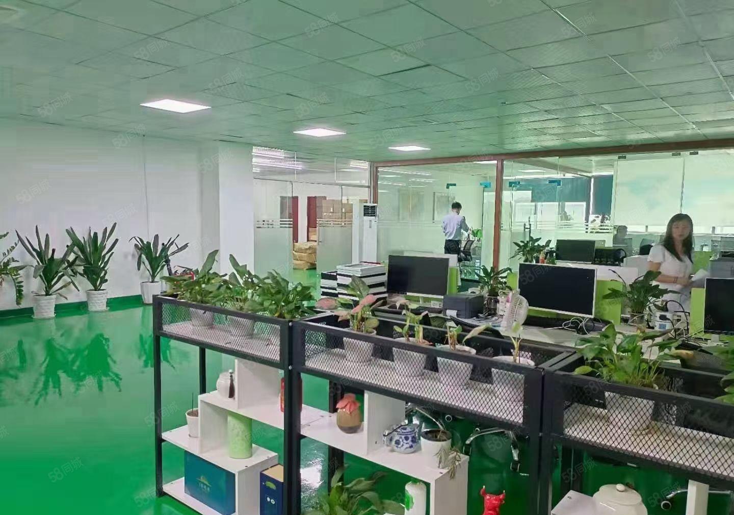 福永地铁口1000平方精装修厂房出租分租仓库招租独院无尘车间