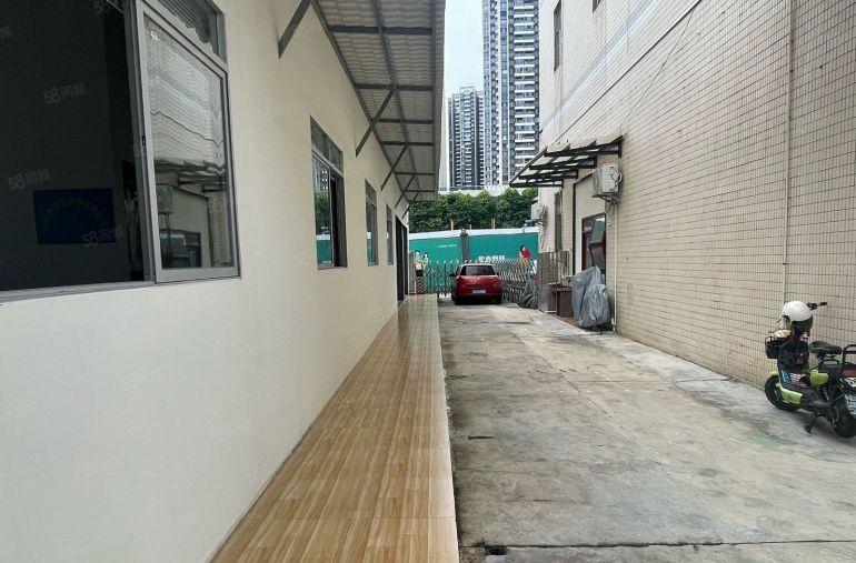 兴东新出原房东一楼320平，靠路边，适合电商仓储，直播等