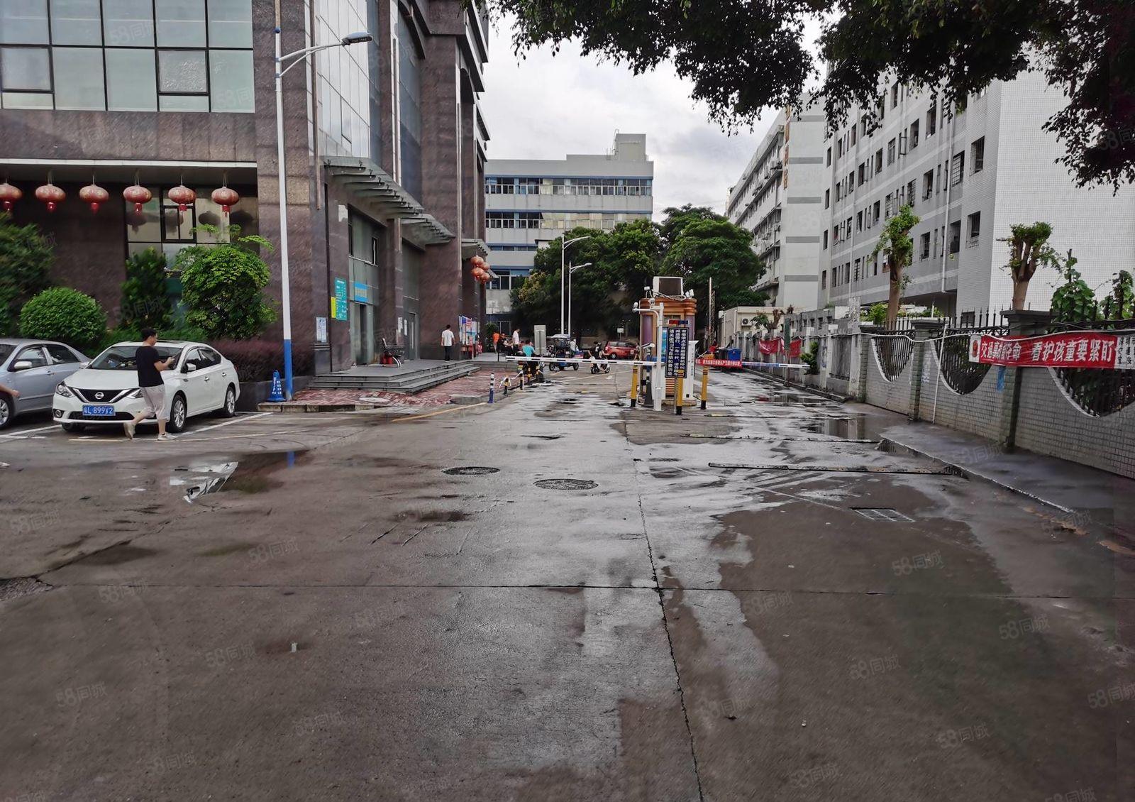 石岩塘头原房东精装修1400平办公室一楼仓库厂房出租转租分租