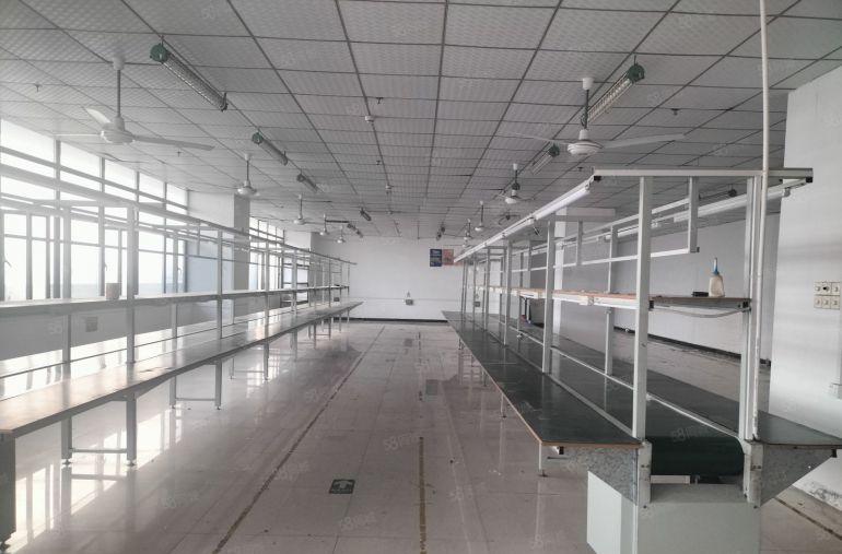 福永新和平876精装修无尘车间低价厂房仓库空土地车位一楼出租