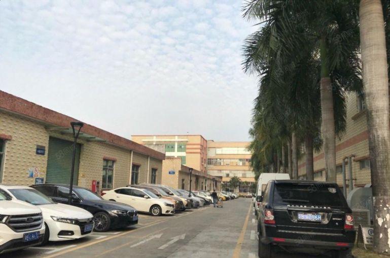 石岩一楼厂房出租内空400至2000平带装修工业园原房东