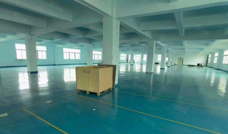 沙井后亭新出原房东独门独院5000平方厂房出租