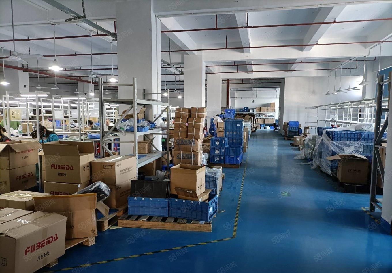 石岩原房东精装1000平实际面积厂房出租分租转租合租一楼仓库