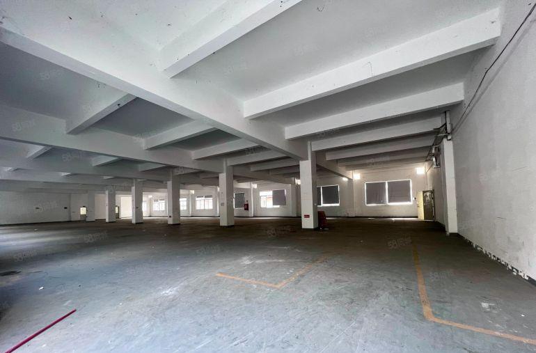 西乡新安原房东独院200平至500平起厂房出租仓库办公可分租