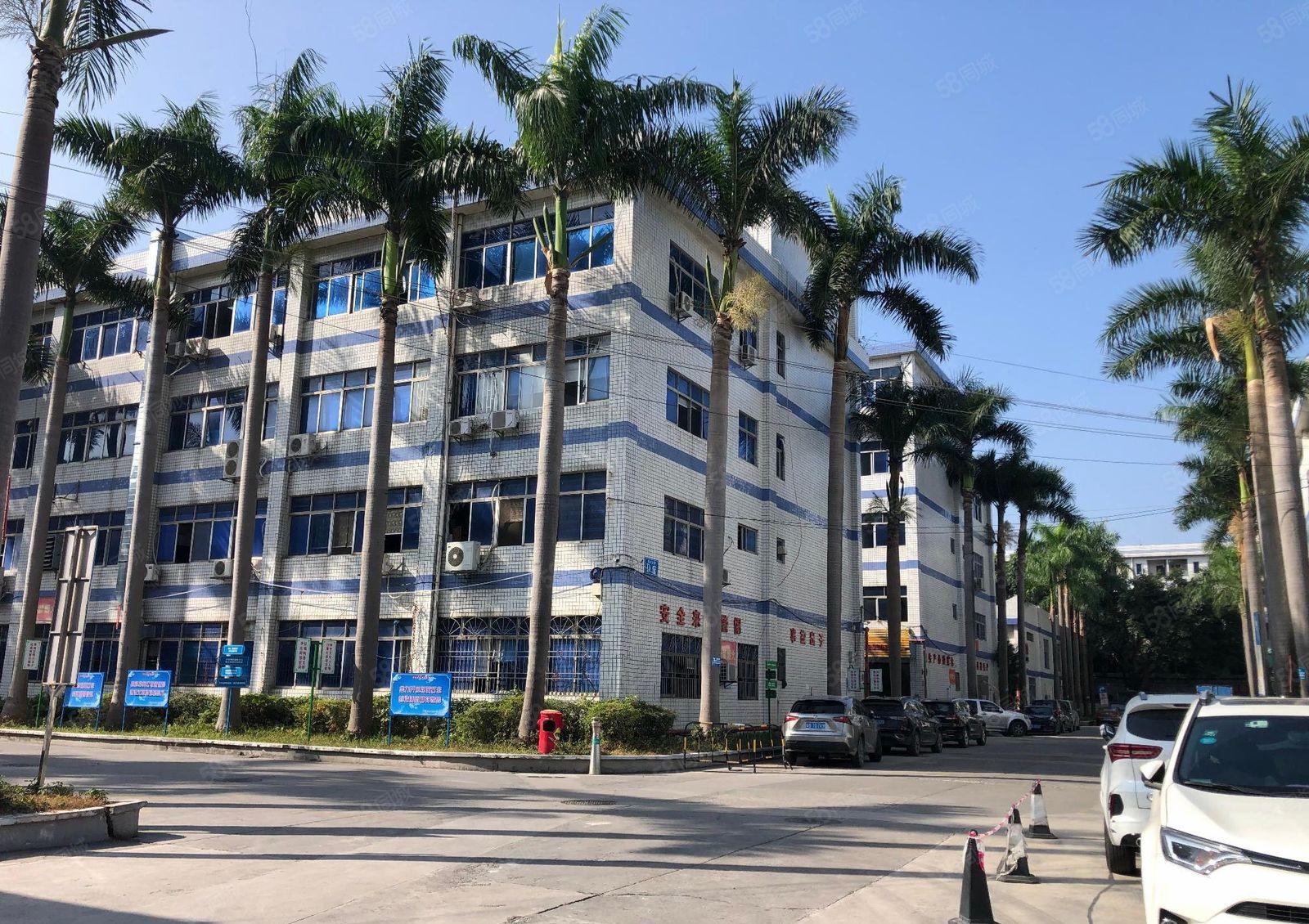 西乡大型工业区原房东1000平带精装修带办公室厂房仓库可分租