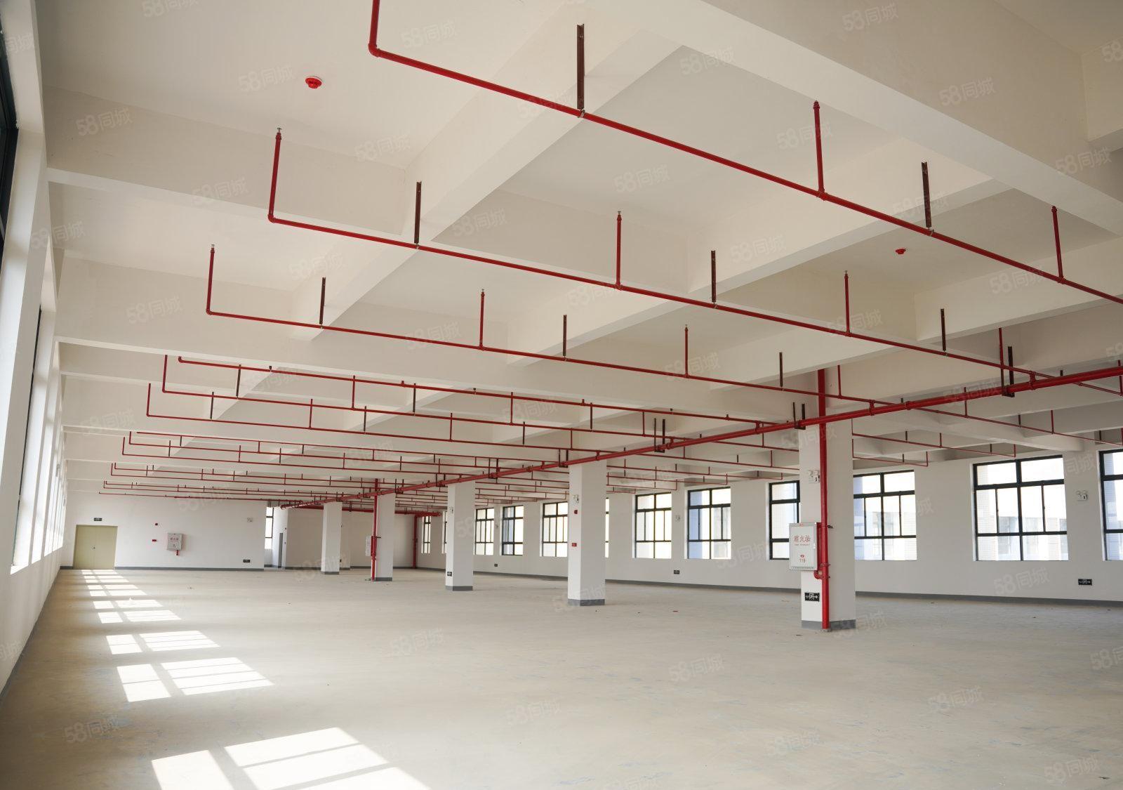 业主直租厂房形象好光明公常路980平米工业可办环评