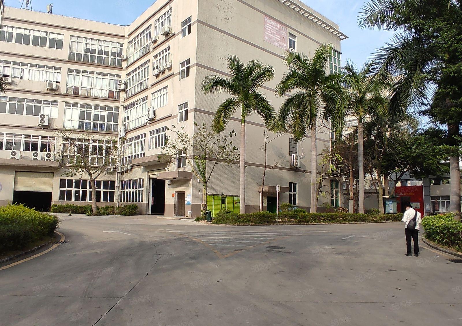 宝安沙井工业园精装修2000平方可分租500平方仓库厂房出租