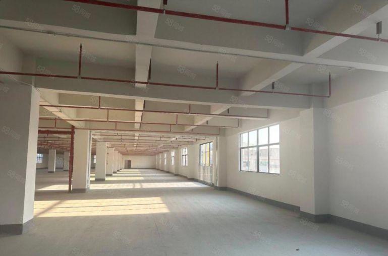 合同十年 西乡固戍地铁口独门独院7700平村委厂房出租可分租