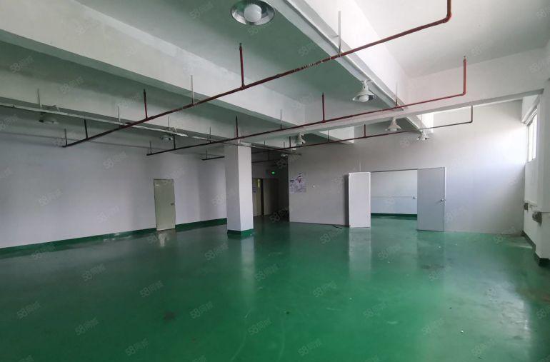 沙井黄埔楼上240平带装修一间办公室水电到位