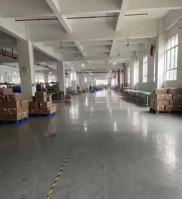 松岗原房东独栋8000平20000平低价仓库厂房出租分租