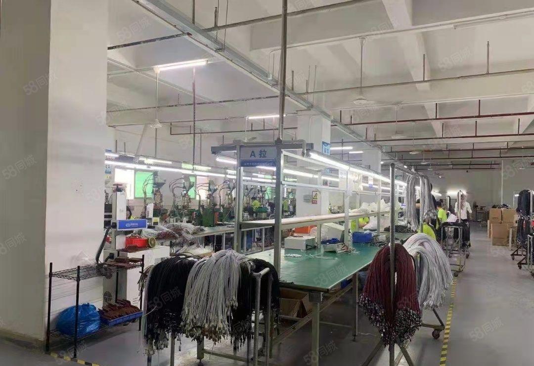 (出租)石岩高新工业园2000平带精装修办公一楼仓库可整可分