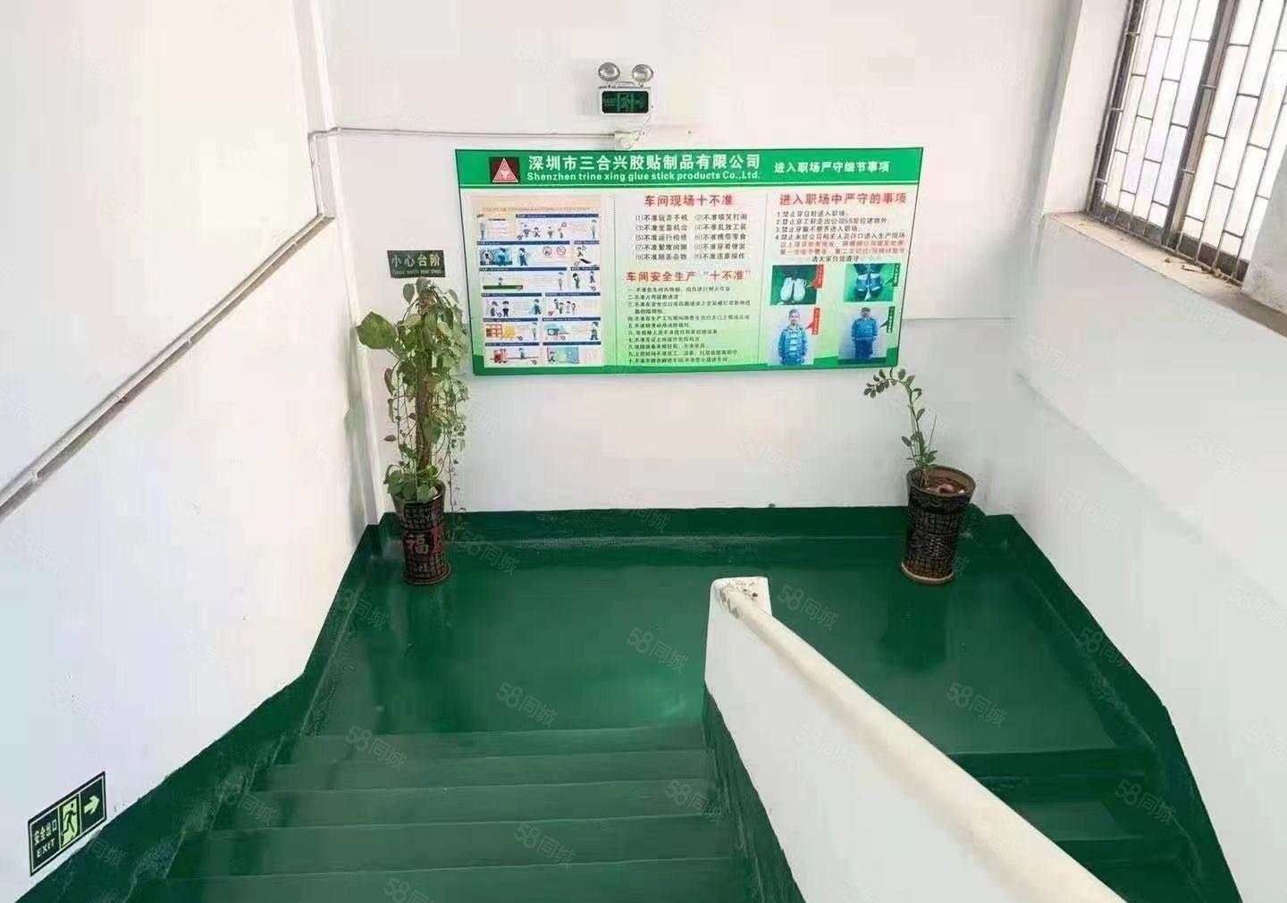 石岩石龙仔大型工业区整栋3600平厂房出租200平起分租