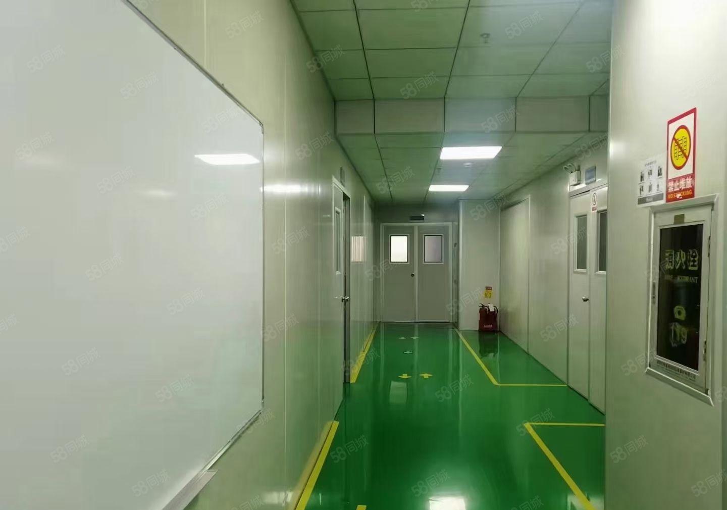 石岩石龙仔现成无尘车间1800平方厂房仓库出租，无需转让费