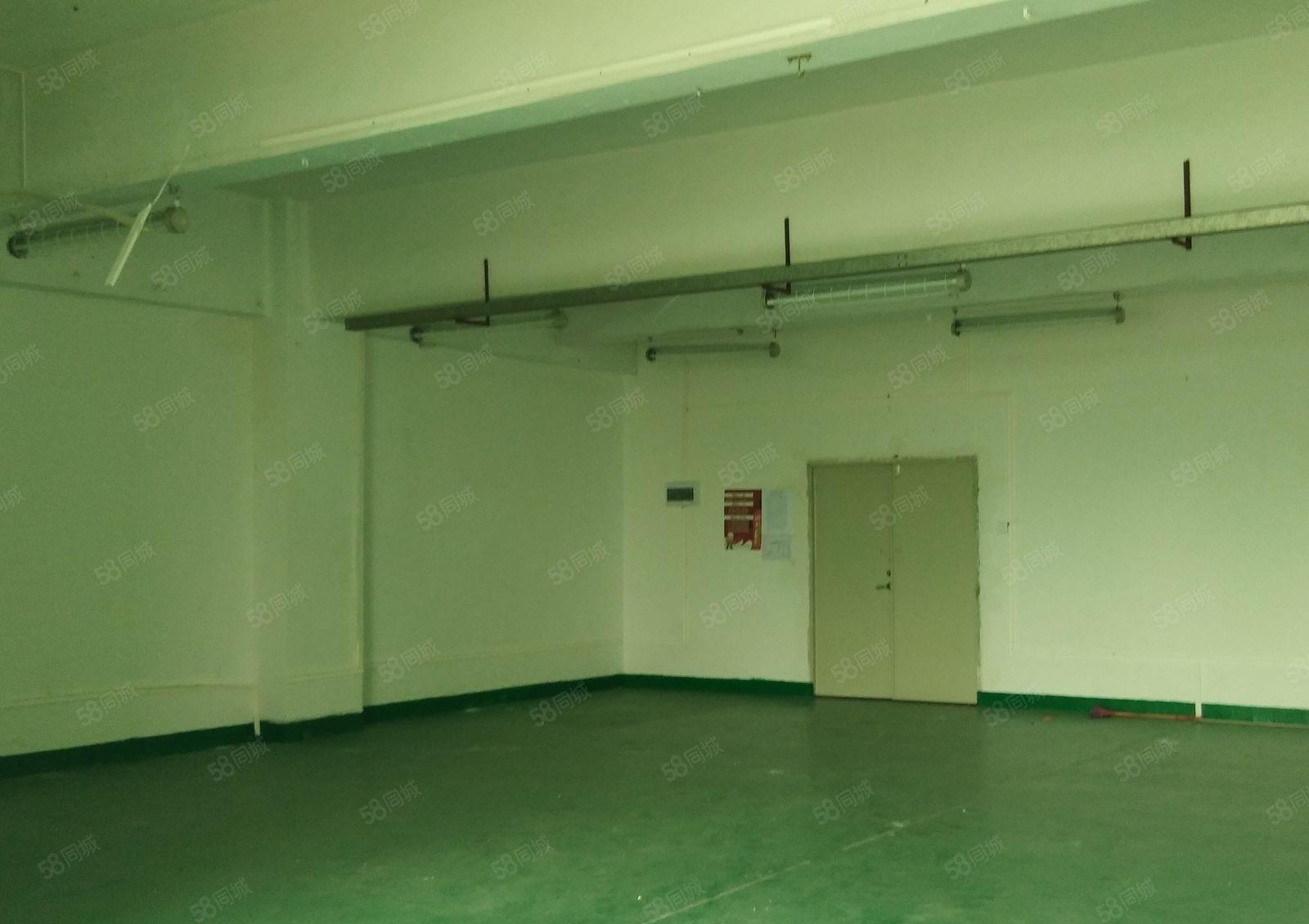 西乡富源工业城楼上精装修210平