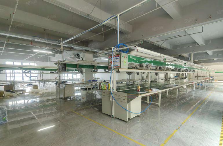 整层1200平精装厂房一手直租 一应俱全拎包生产 固戍站附近