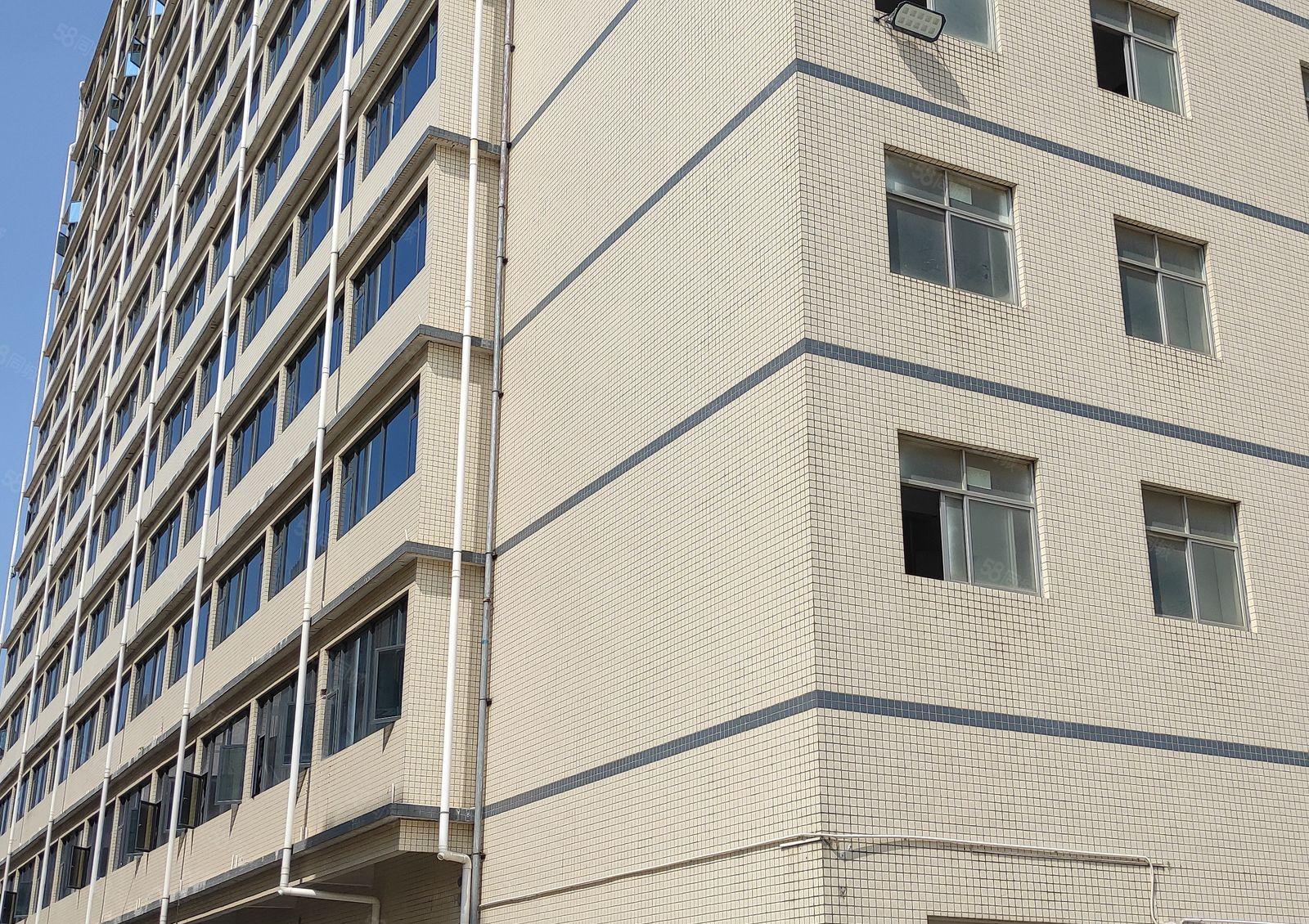 沙井新空出180平米270平360平米精装修厂房和仓库出租