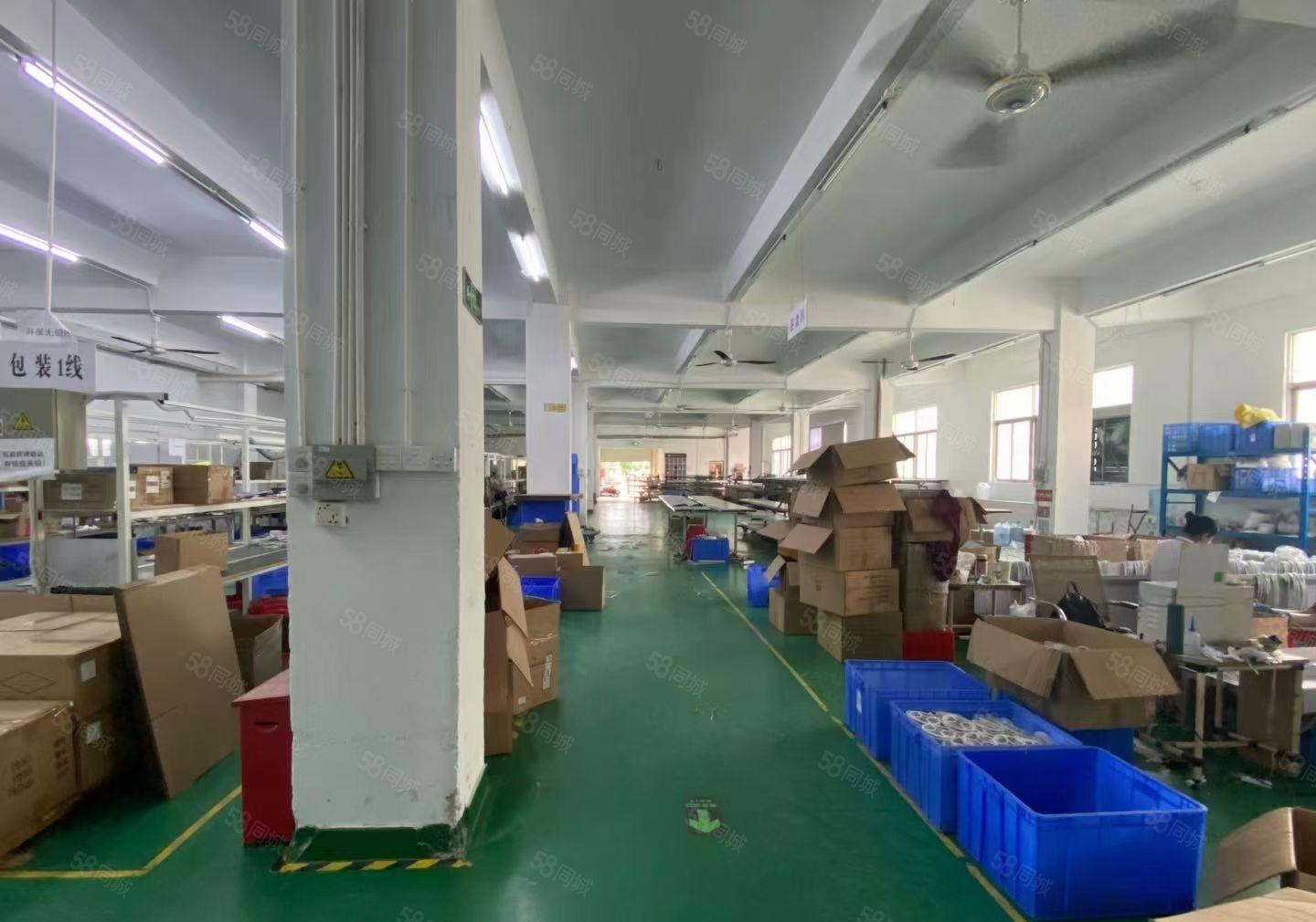 福永凤凰山旭源工业园4楼精装修600平米厂房出分租办公仓库