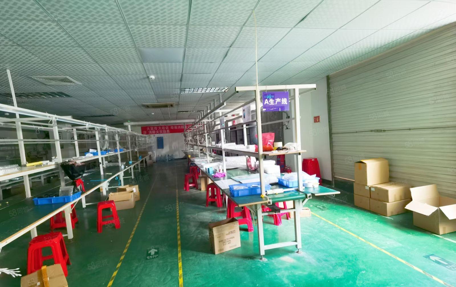 沙井西环路刚出900平方带流水线厂房出租不要转让费