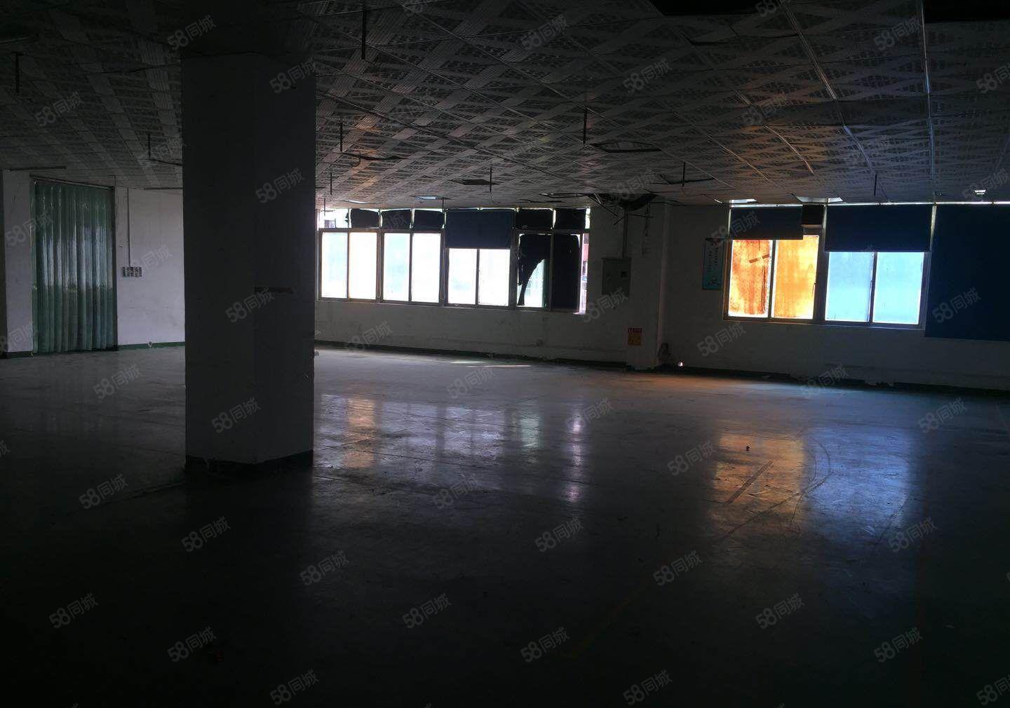 沙井镇黄埔附近村委独院厂房3900平方出租