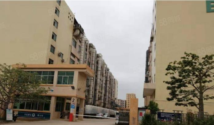 深圳东莞惠州专业化工厂房出租200平方米起租仓库生产均可