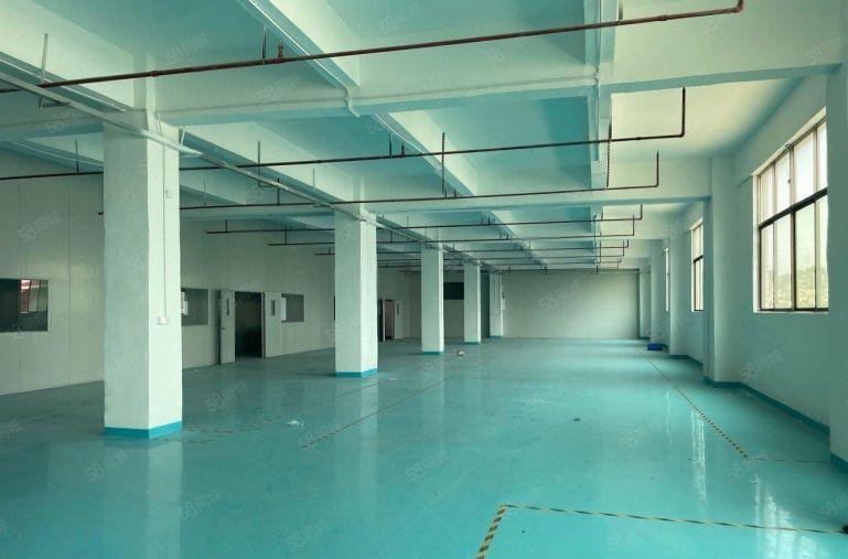 石岩100平起可分租 独门独院厂房7000平精装仓库厂房出租