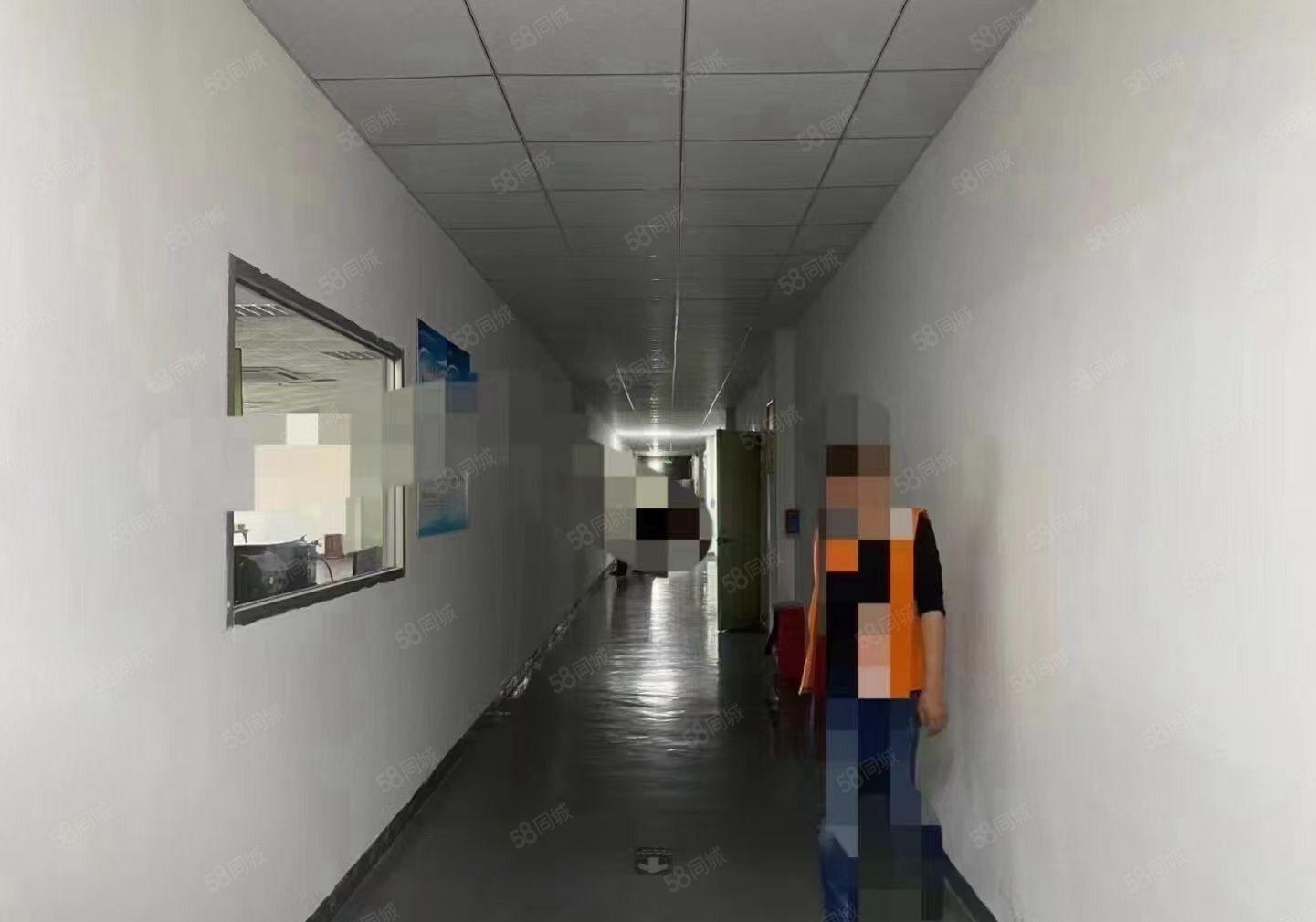 松岗燕川新出原房东厂房楼上1828平方