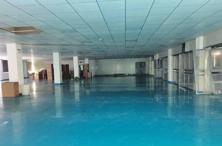 宝安松岗燕川广田路上全新装修一楼层高6米原房东直租