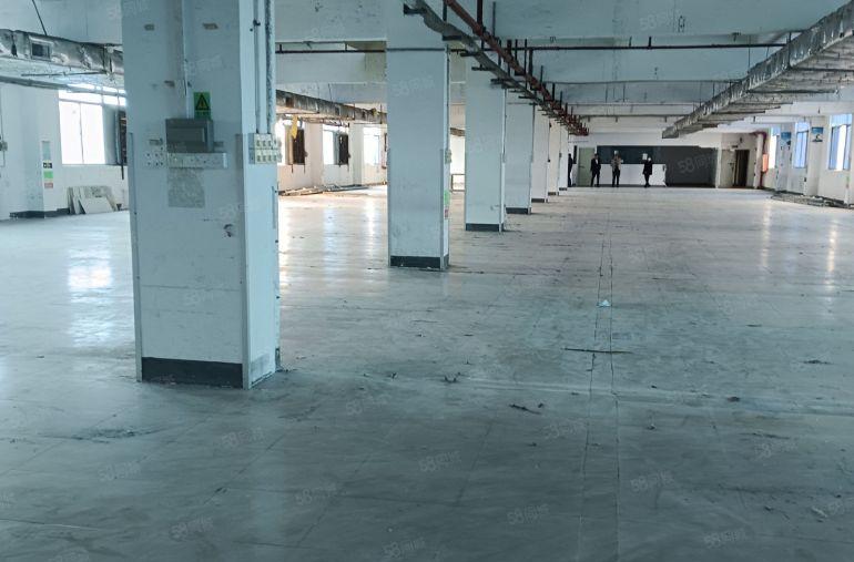 西乡鹤洲洲石路附近大型园区中间楼层1918平！