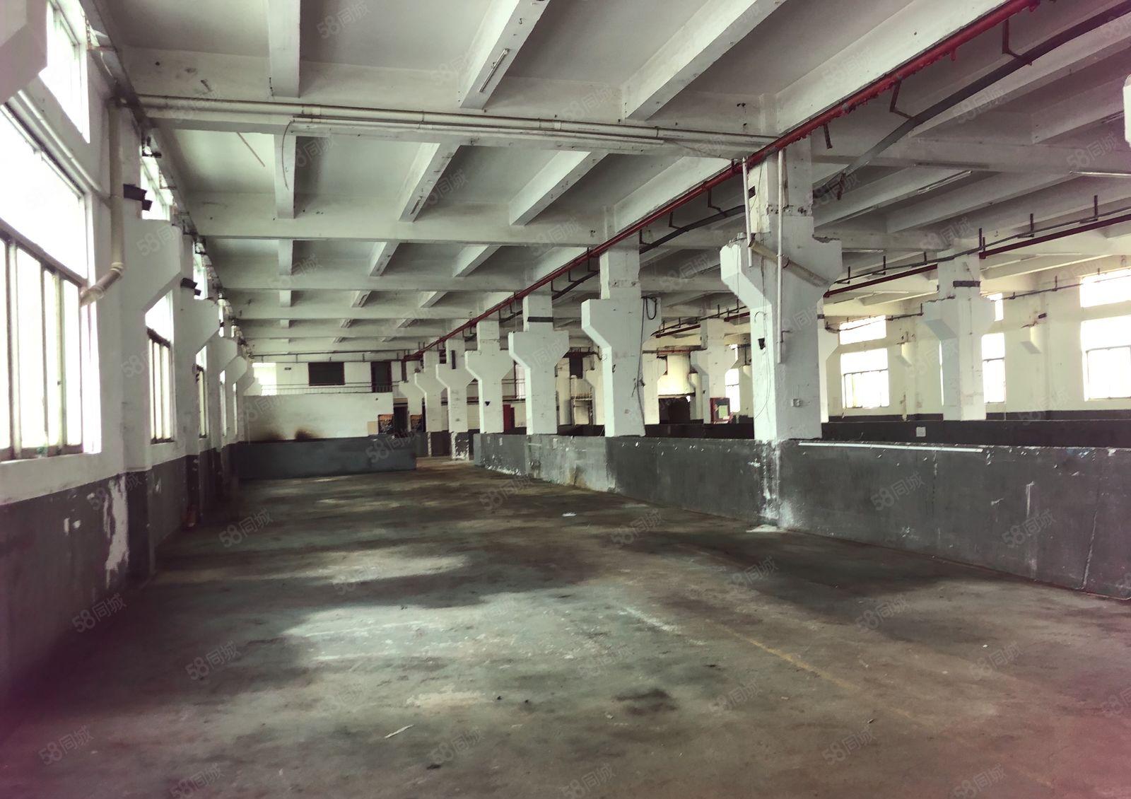 福永高速口6000平厂房仓库出租分租带装修独院厂房