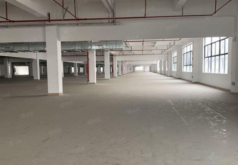 石岩工业区带红本8000平厂房出租 主干道旁 可分租500平