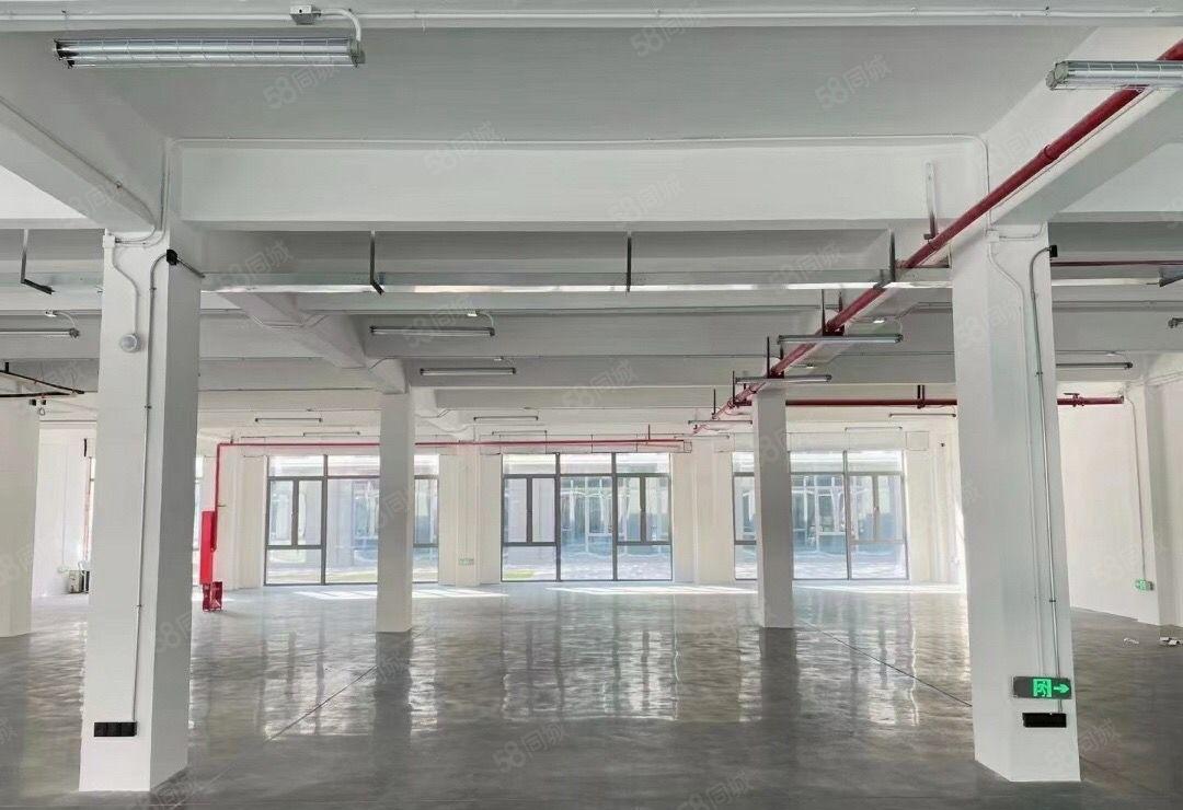 光明300平高新园区厂房出租50平起分租办公室低价招租