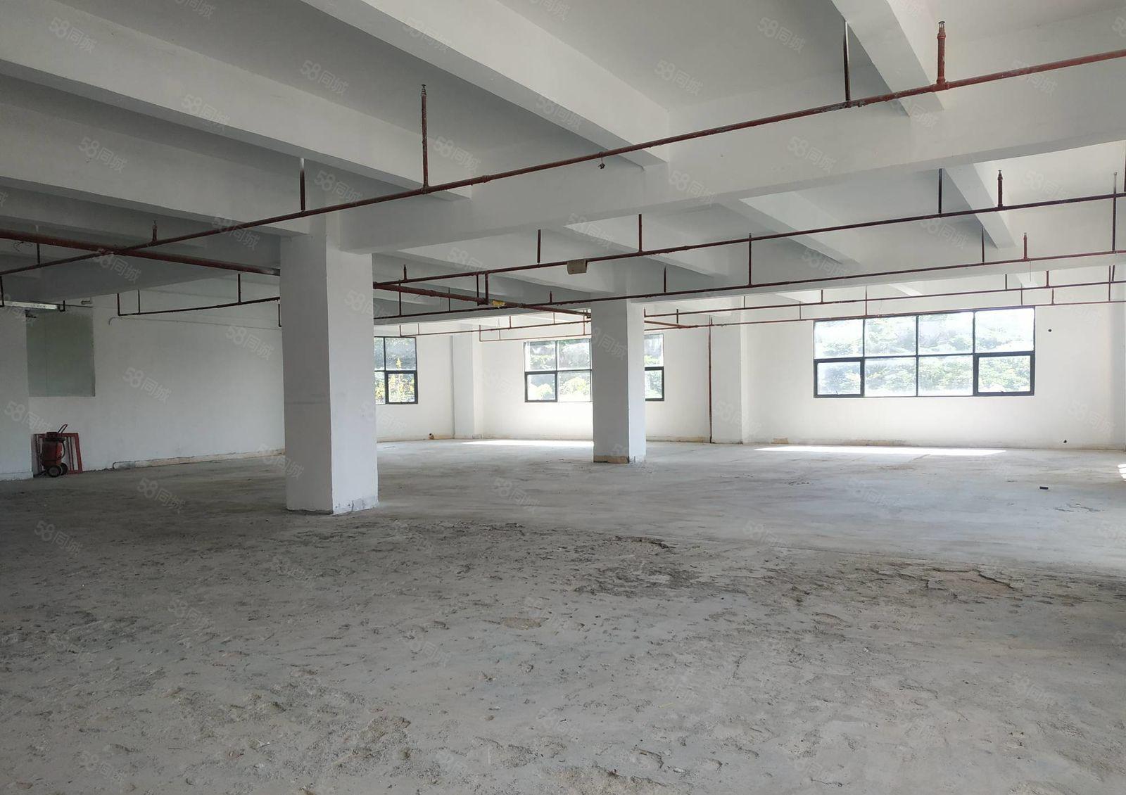 36元 兴东地铁口 独院800平办公厂房直租