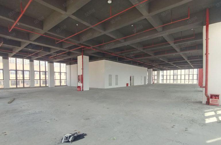 福永新型厂房国道旁1500平全新标准厂房高新补贴装修