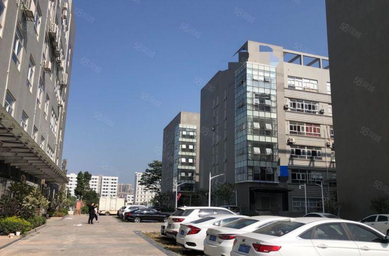 原房东！塘头工业区工业园新出楼上1000平精装修办公厂房出租