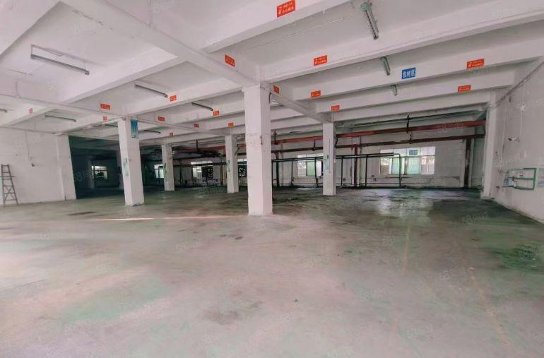 新桥高速原房东带红本带航车办公室装修一楼整层出租1600平