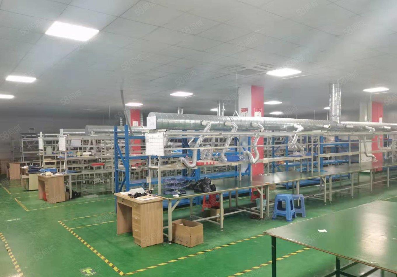 沙井原房东红本整层2800平方带无尘车间厂房出租