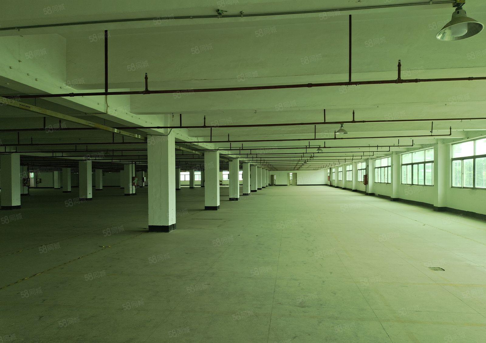 福海盛和兴物流园厂房仓库出租