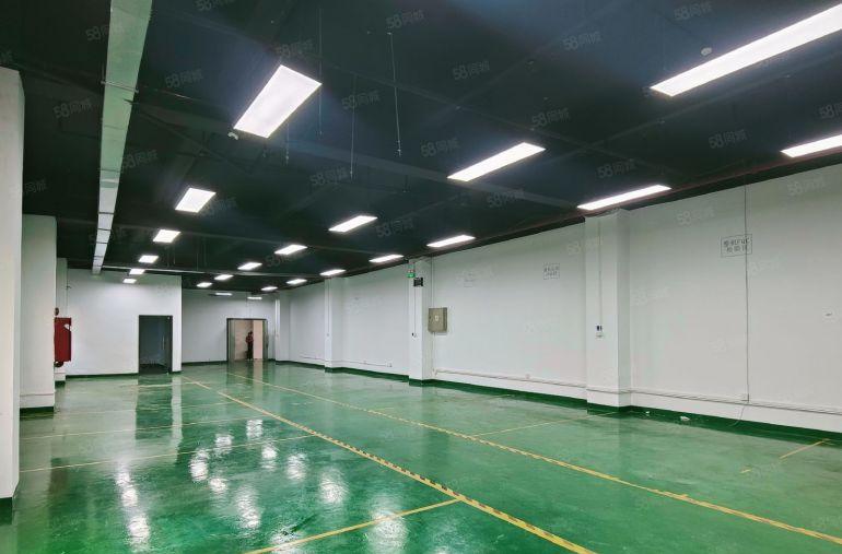 一楼564平38元每平地铁口大型园区全新靓装实惠实用