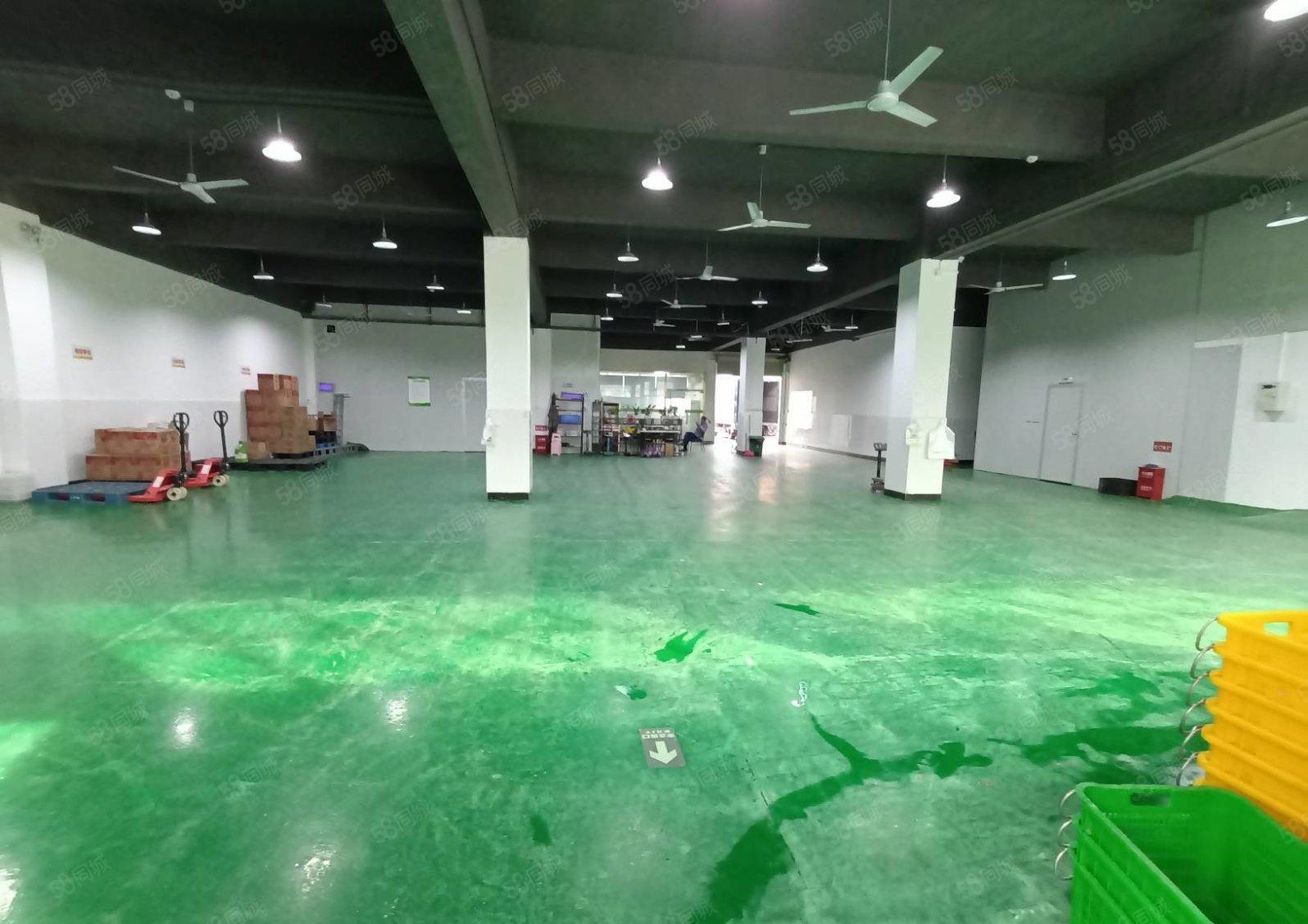 石岩塘头原房东楼上1200平精装修厂房低价出租无转让费