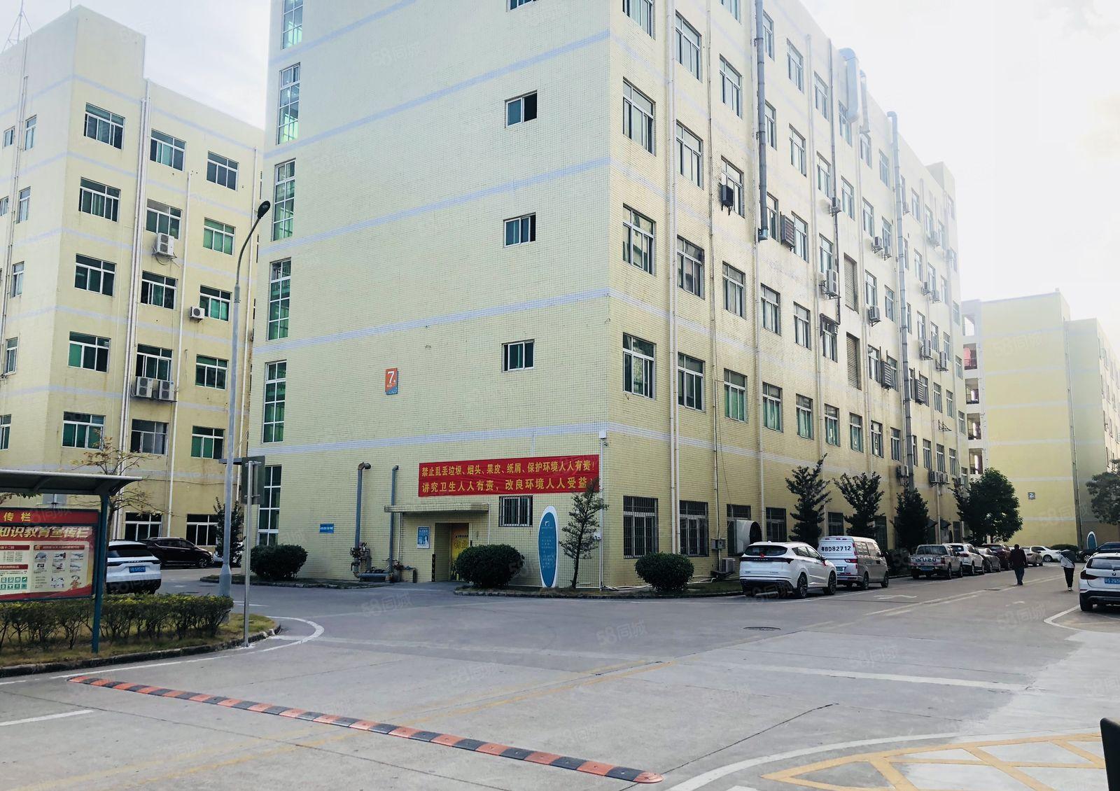 3吨货梯带吊机口松岗原房东山门工业区楼上1100平厂房招租