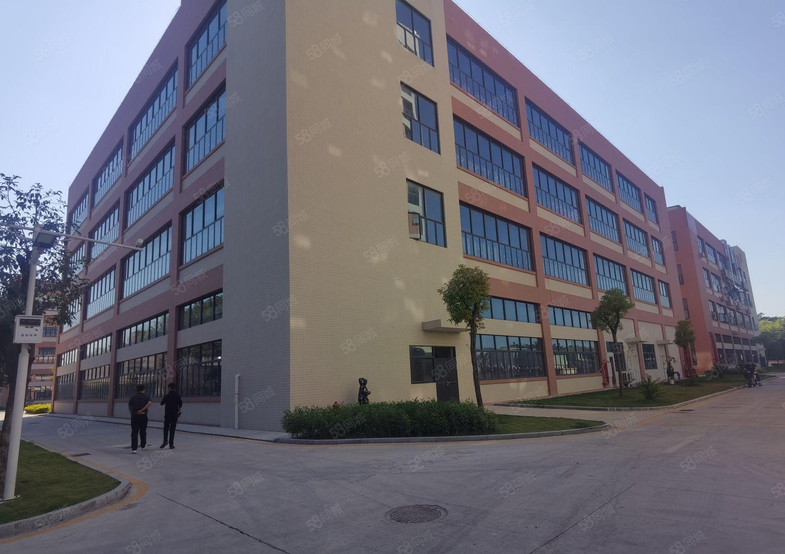 松岗大田洋工业区5百1000至2000平方带装修厂房仓库出租