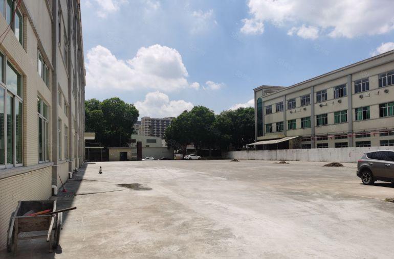 企石独院空地8000平方15块5米高三层独院厂房带钢构出租