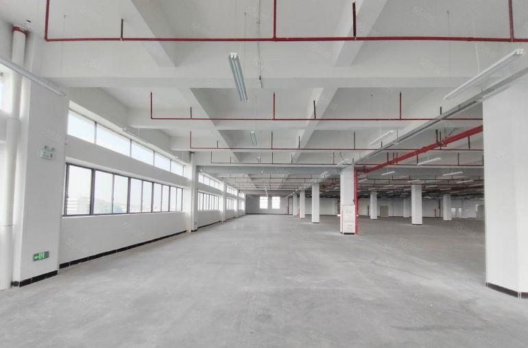 企石上截原房东独院8000平厂房低价出租可分租