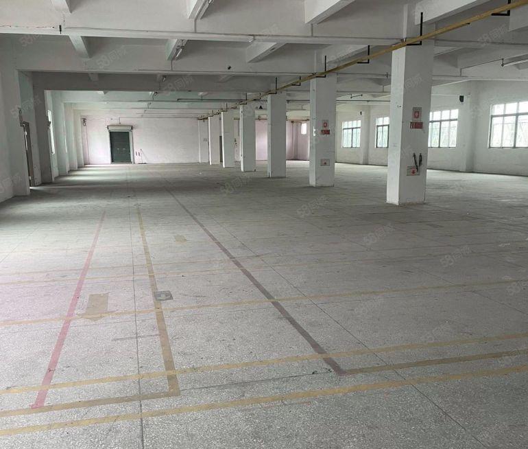 企石镇原房东独门独院3900平米厂房出租空地有2000平米