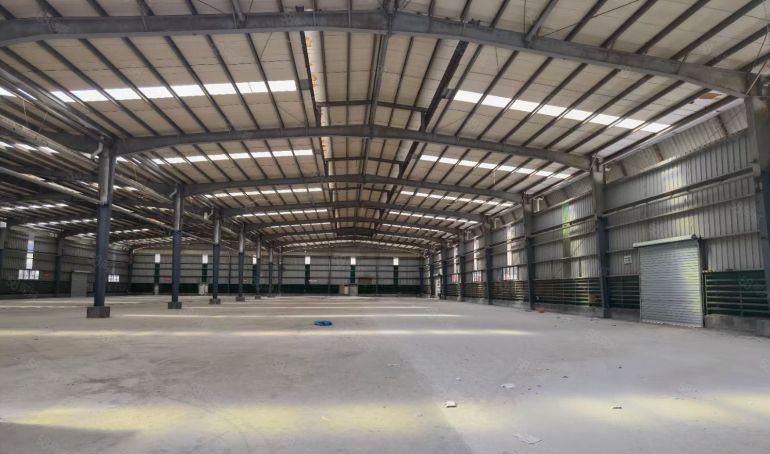 望牛墩镇新出原房东独院单一层钢构厂房出租100000平方