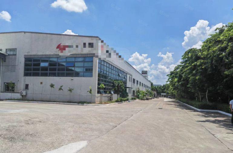 谢岗重工业单一层钢结构仓库厂房出租3000平方带牛角低价甩租