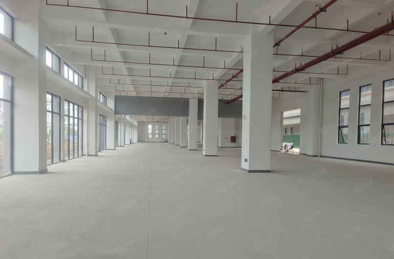 谢岗镇带红本厂房招租，带消防喷淋，两部三吨电梯，一楼高度7米