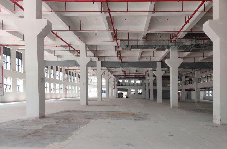 原房东7元无公摊5千平红本厂房谢岗樟木头一楼仓库出租大小可分